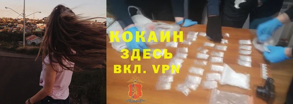 прущая мука Кодинск