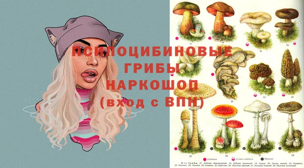 прущая мука Кодинск
