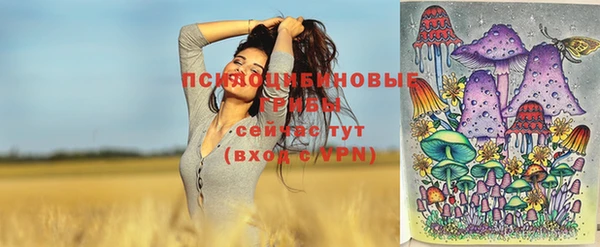 мескалин Козловка