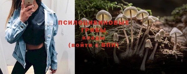 мескалин Козловка