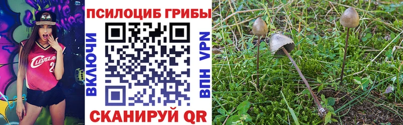 Купить где  Коркино  Галлюциногенные грибы прущие грибы 